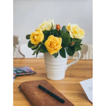 Yellow Rose